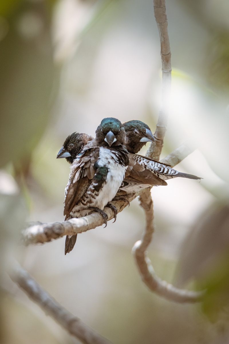 © Lorraine Turci - Image from the Avant demain (Before tomorrow) photography project