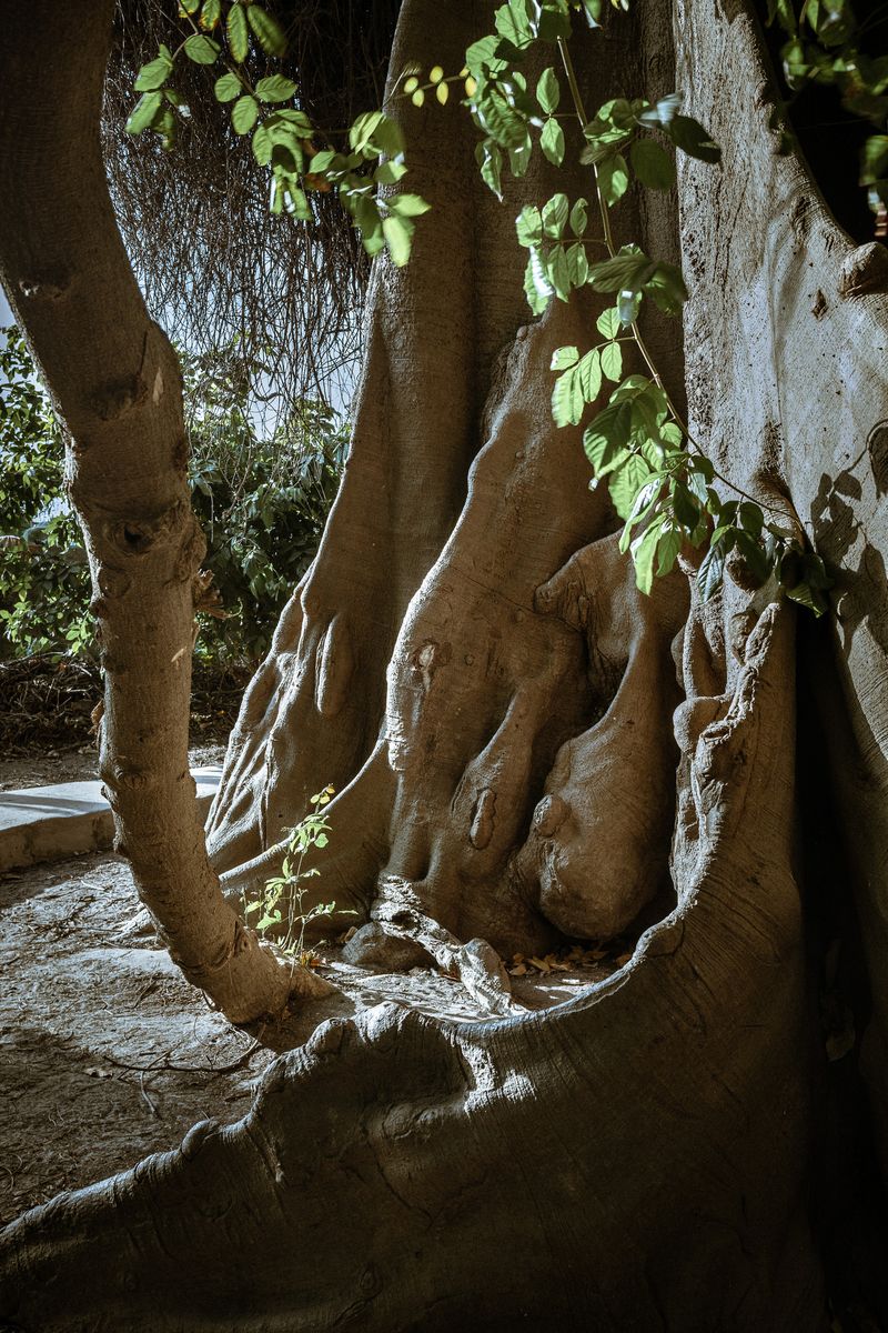 © Lorraine Turci - Image from the Avant demain (Before tomorrow) photography project