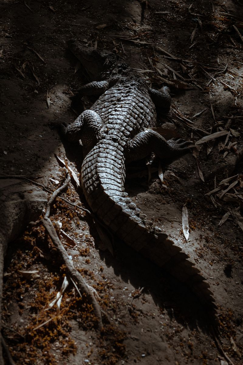 © Lorraine Turci - Image from the Avant demain (Before tomorrow) photography project