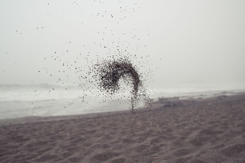 © Lorraine Turci - "Cargo civilization" (and the next ones)