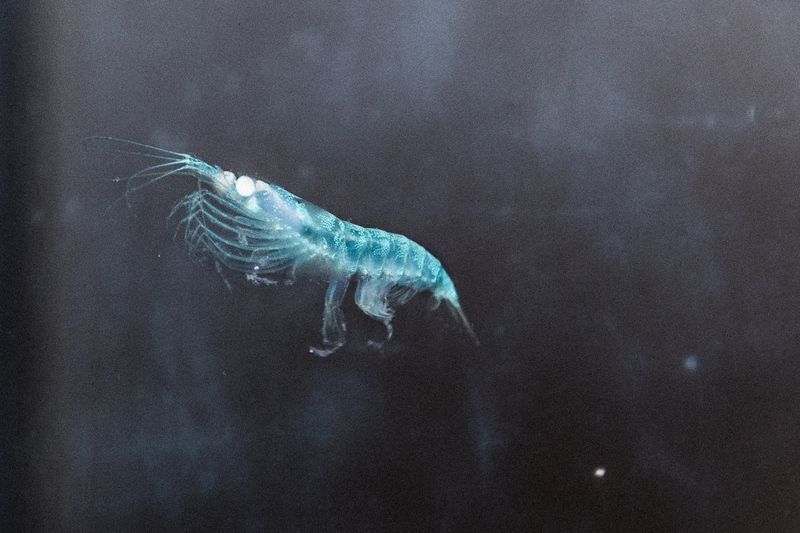 © Lorraine Turci - Image from the Open seas photography project