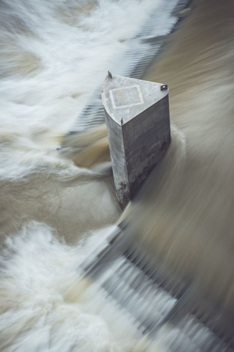 © Lorraine Turci - Image from the The  resilience  of the crow photography project