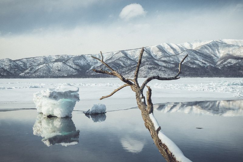 © Lorraine Turci - Image from the The  resilience  of the crow photography project