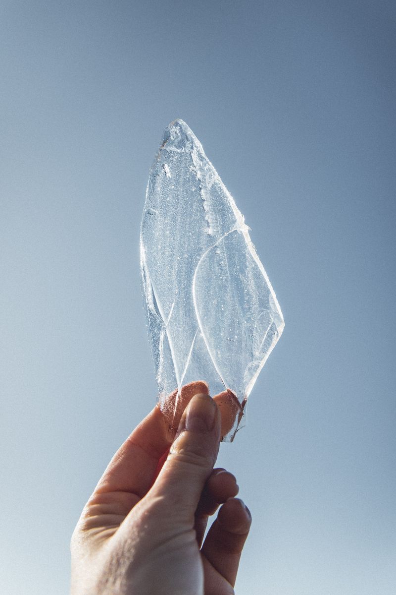 © Lorraine Turci - Image from the The  resilience  of the crow photography project