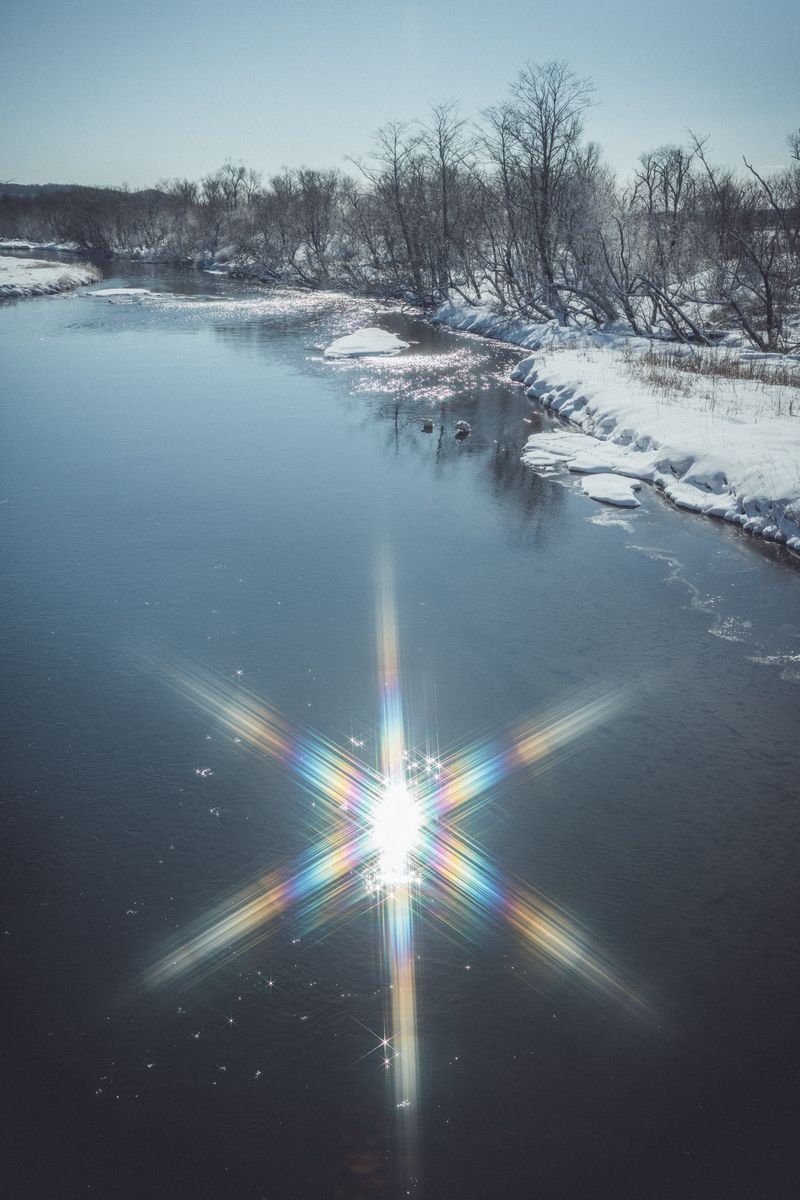 © Lorraine Turci - Image from the The  resilience  of the crow photography project