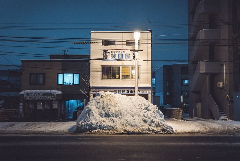 © Lorraine Turci - Image from the The  resilience  of the crow photography project