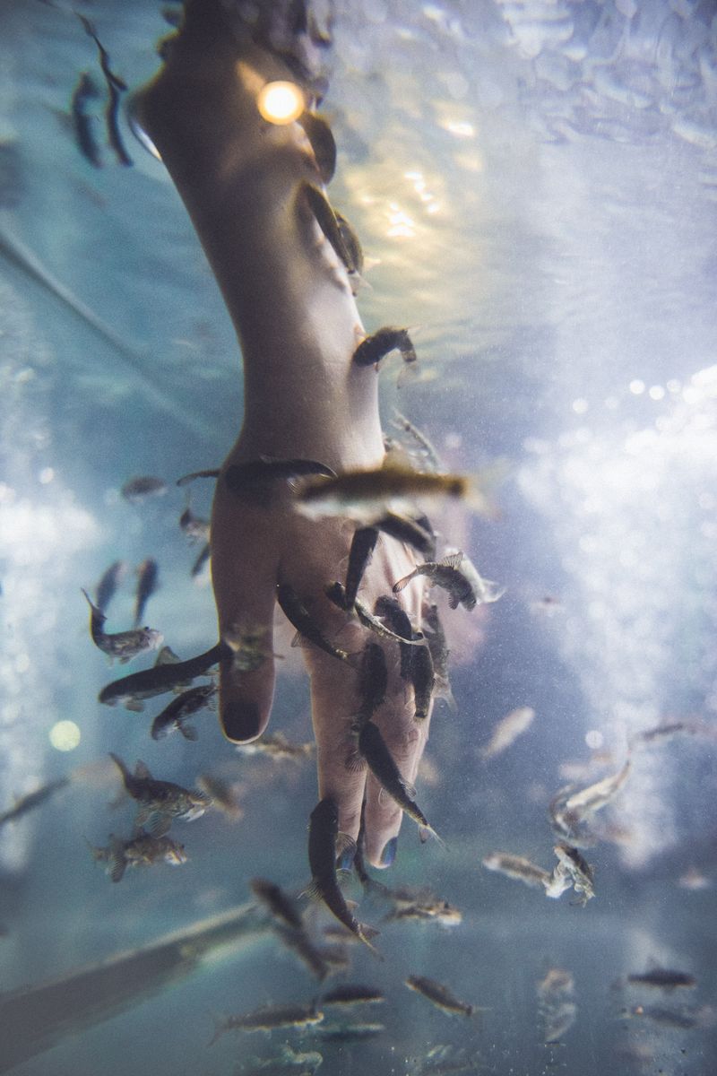 © Lorraine Turci - Image from the The  resilience  of the crow photography project