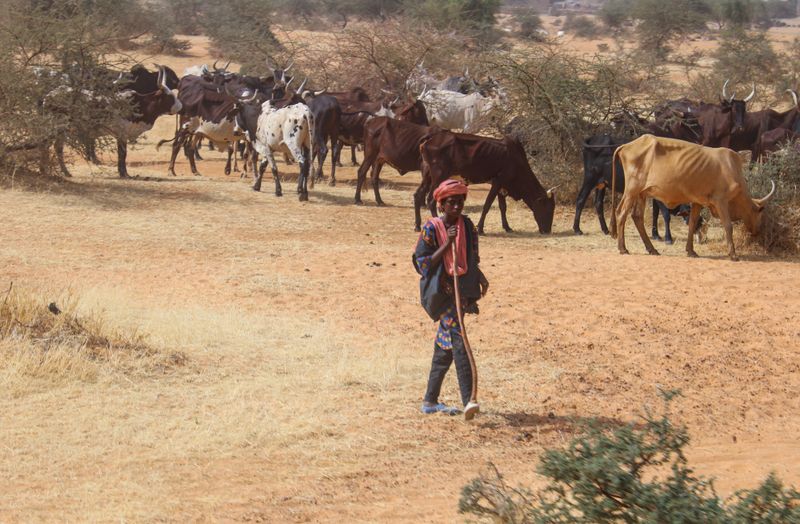 © Jasmina Omerbegovic - Image from the A SMILE IS PRICELESS photography project