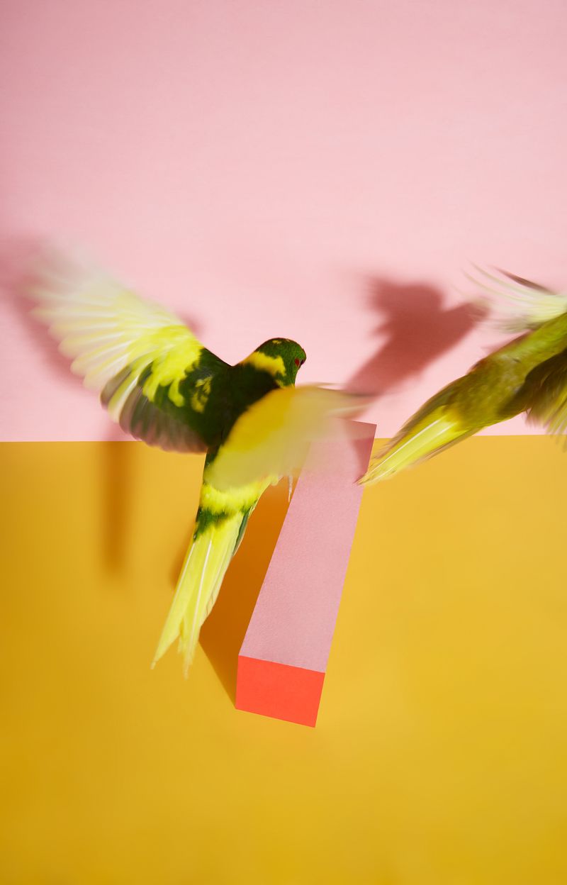 © Kristin Schnell - Image from the Our neighbours photography project