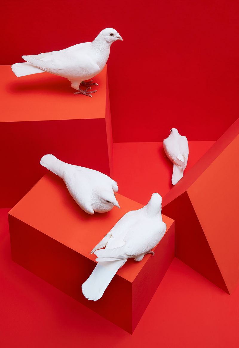 © Kristin Schnell - Image from the Our neighbours photography project