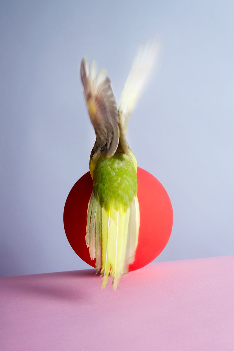 © Kristin Schnell - Image from the Our neighbours photography project