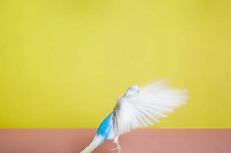 © Kristin Schnell - Image from the Our neighbours photography project