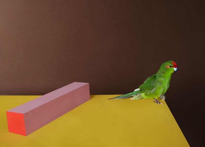 © Kristin Schnell - Image from the Our neighbours photography project