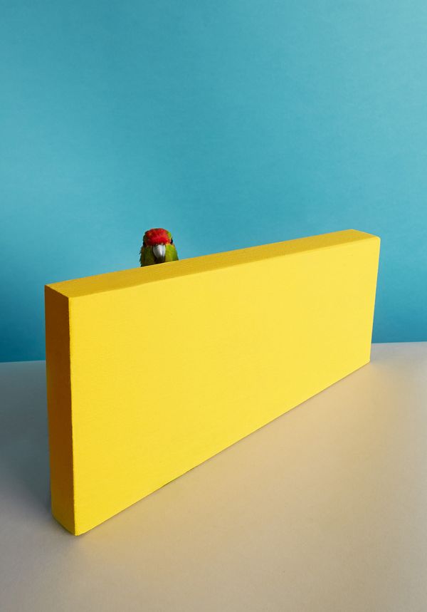 © Kristin Schnell - Image from the Our neighbours photography project