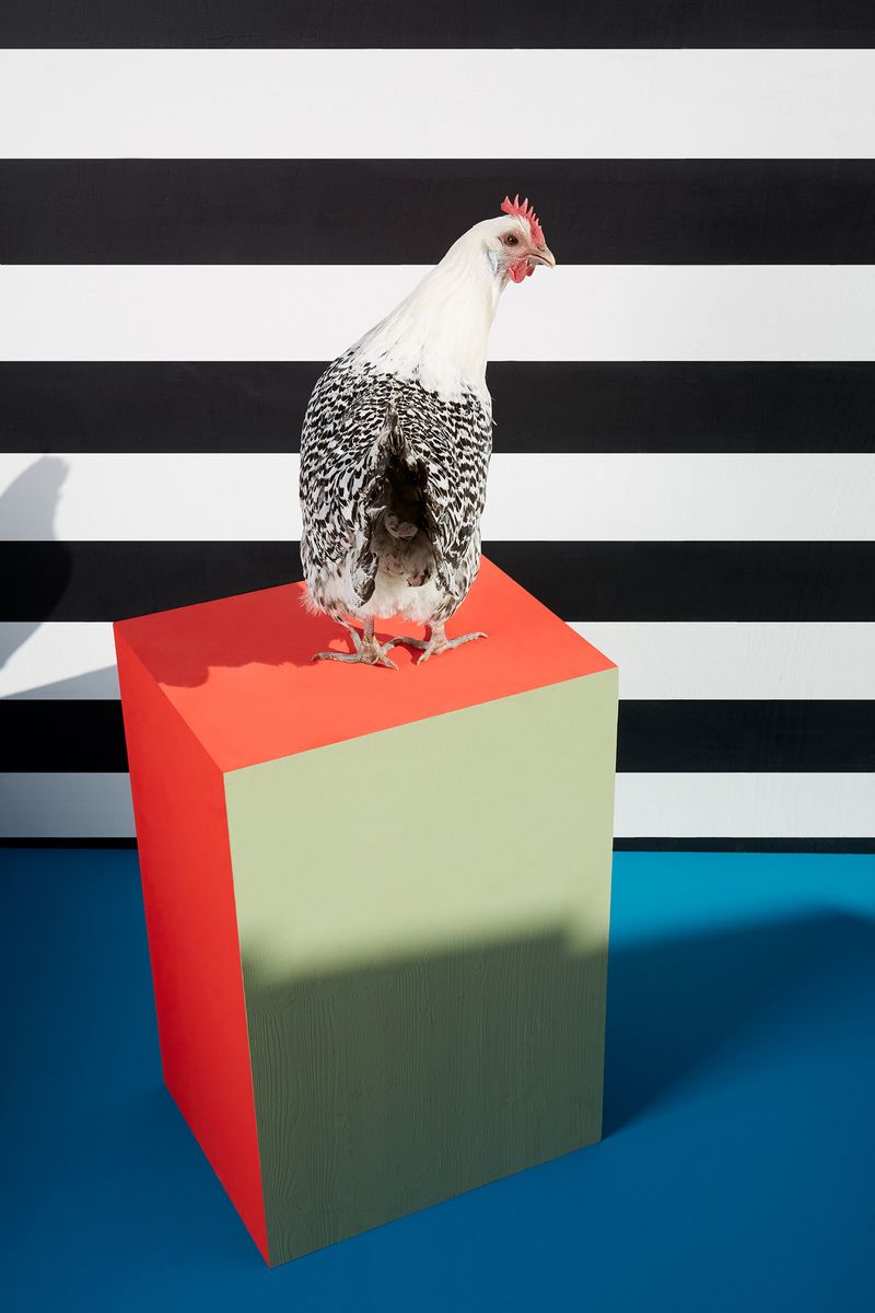 © Kristin Schnell - Image from the Our neighbours photography project