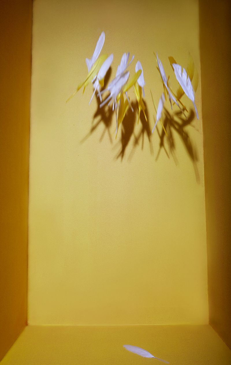 © Kristin Schnell - Image from the Budgie Mutations photography project