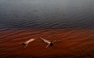 Fragments of an Altered Industrial Landscape