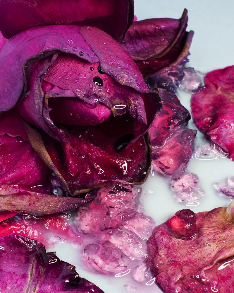 © Jessica Ledwich - Image from the Messy Beautiful photography project