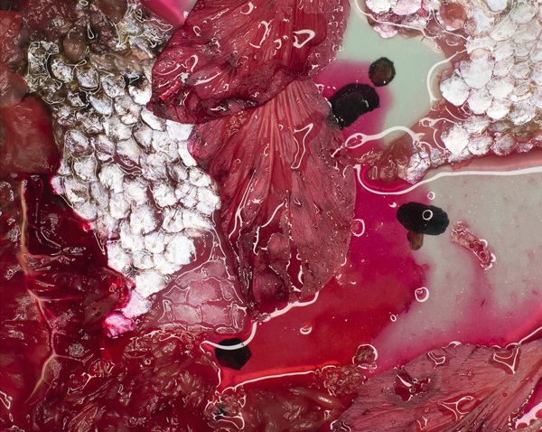 © Jessica Ledwich - Image from the Messy Beautiful photography project