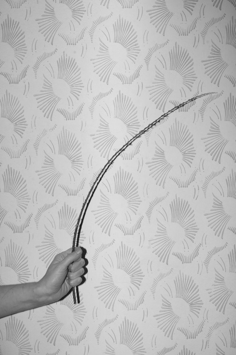 © Ana Vuko - untitled