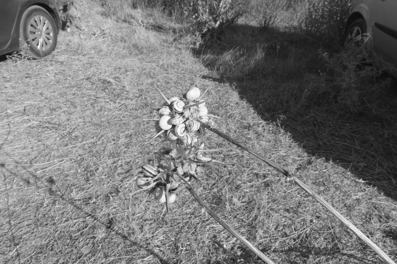 © Ana Vuko - untitled