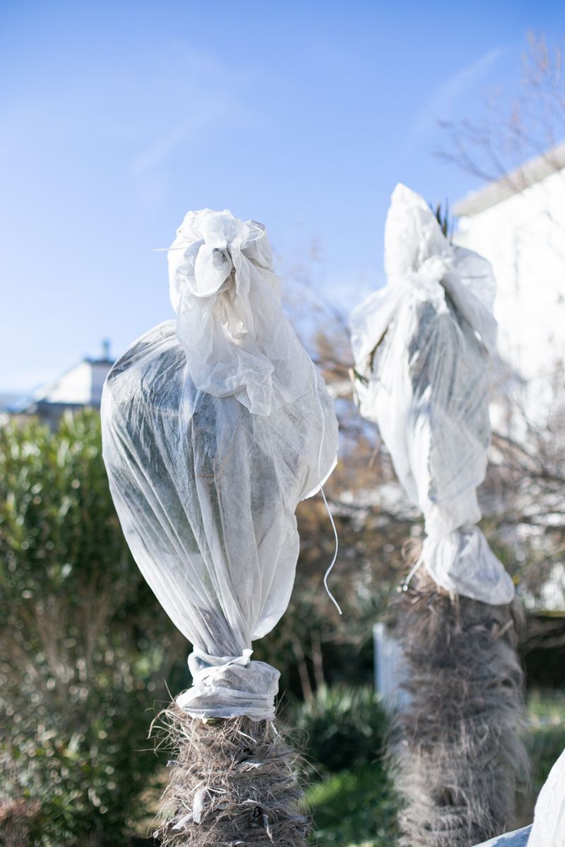 © elba collective - Image from the Frozen Rooms photography project