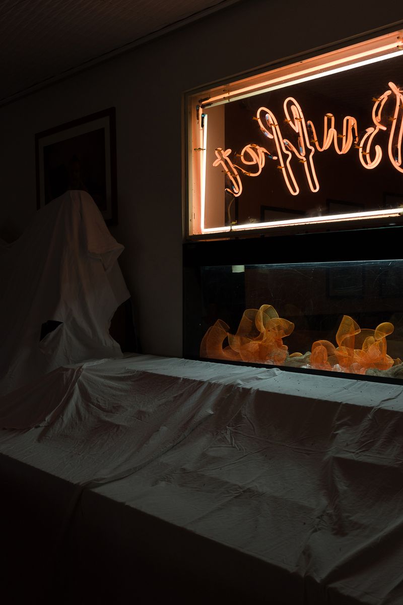 © elba collective - Image from the Frozen Rooms photography project