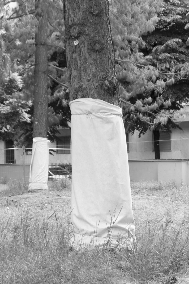 © Elisa Villaverde - Elisa Villaverde, La somma, 2019, Turin, Italy