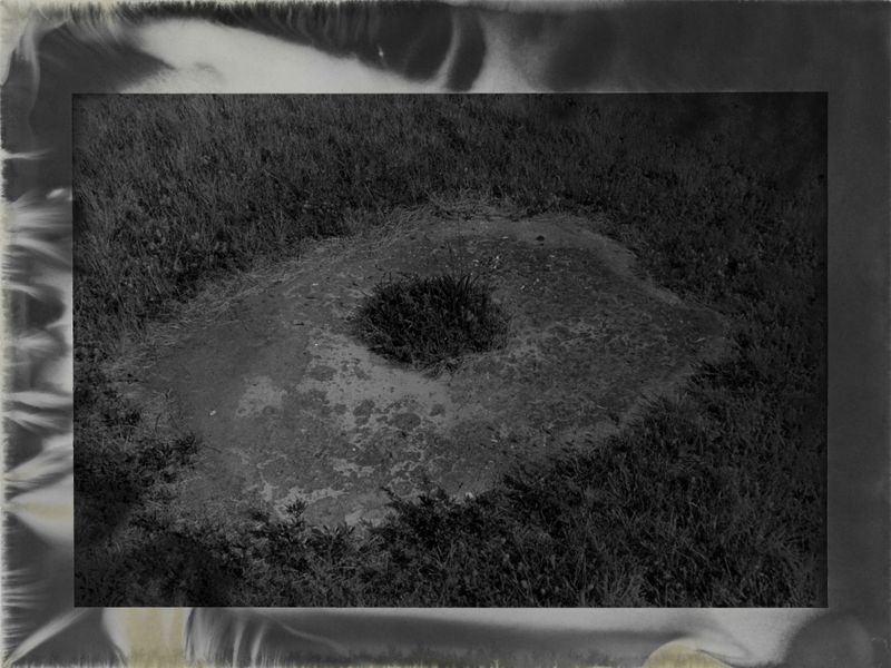 © Raine Roberts - Grass Grows Where Things Decompose - No. 3, 5"x7", Gelatin Silver Print, 2025