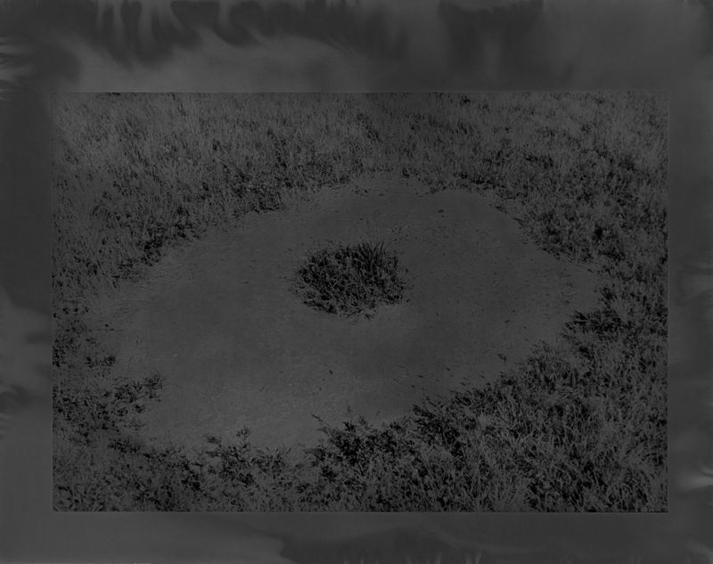 © Raine Roberts - Grass Grows Where Things Decompose - No. 2, 5"x7", Gelatin Silver Print, 2025