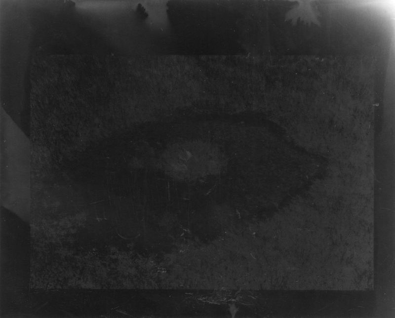 © Raine Roberts - Grass Grows Where Things Decompose - No. 1, 5"x7", Gelatin Silver Print, 2025