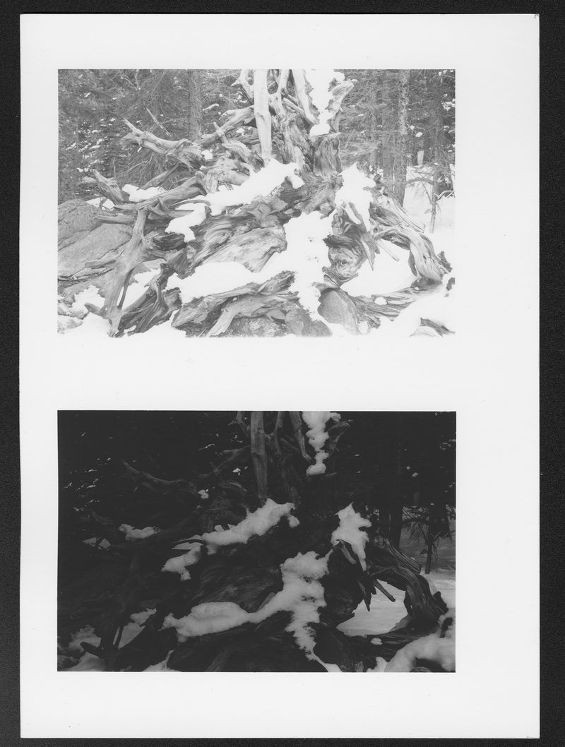 © Raine Roberts - Before/After Blizzard, 5"x7", Gelatin Silver Print, 2026
