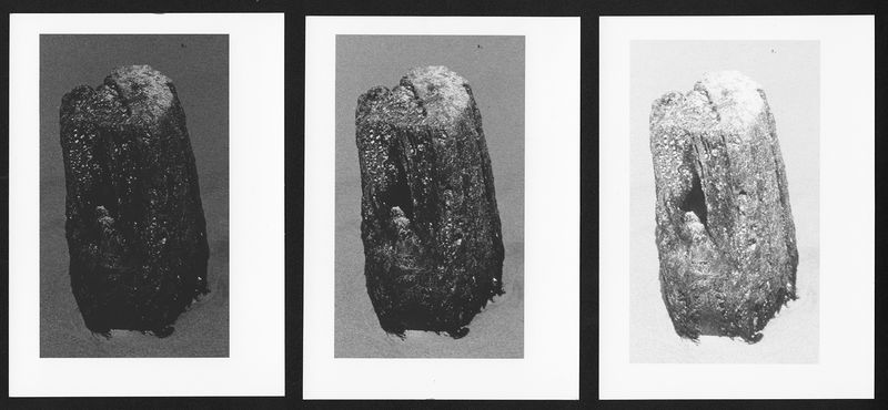 © Raine Roberts - "Exposure Therapy", Gelatin Silver Print, 5"x7"/ea, 2025