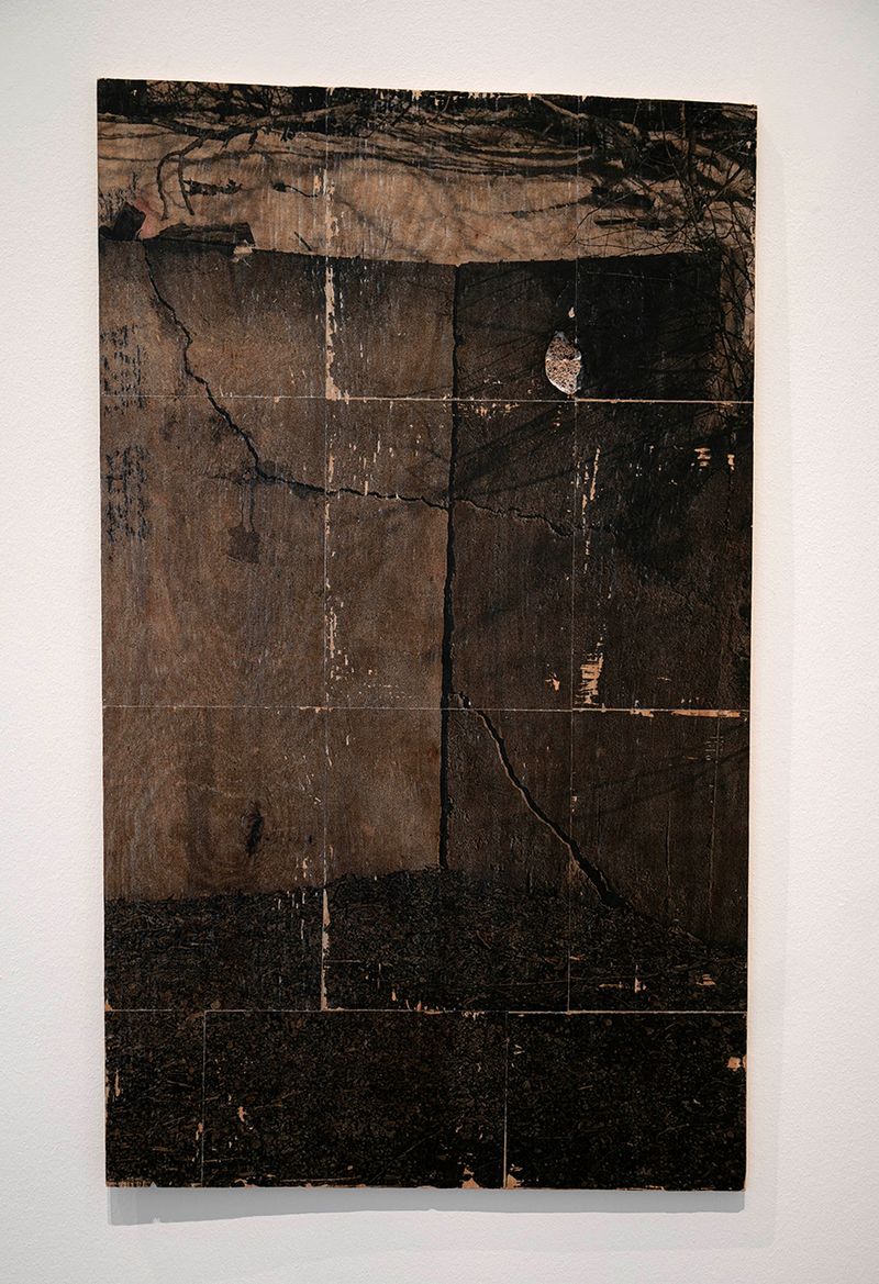 © Raine Roberts - Cracked Boundary. 36" x 21" Photographic Transfer on Wood