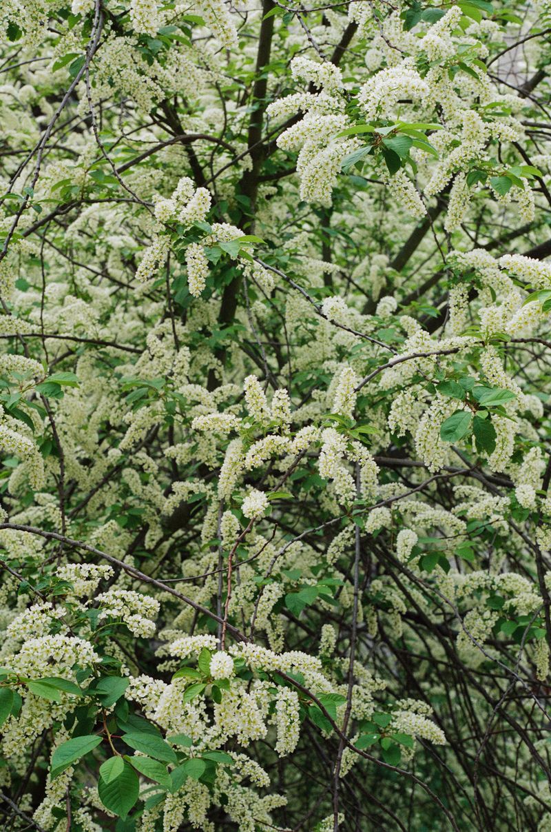 © Anya Tsaruk - Image from the Mother Land photography project