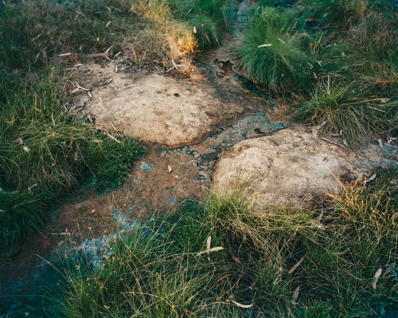 © Tom Goldner - Image from the Do Brumbies Dream in Red? photography project