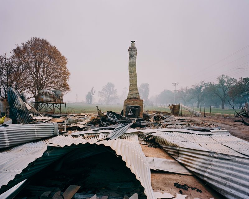 © Tom Goldner - Image from the Do Brumbies Dream in Red? photography project