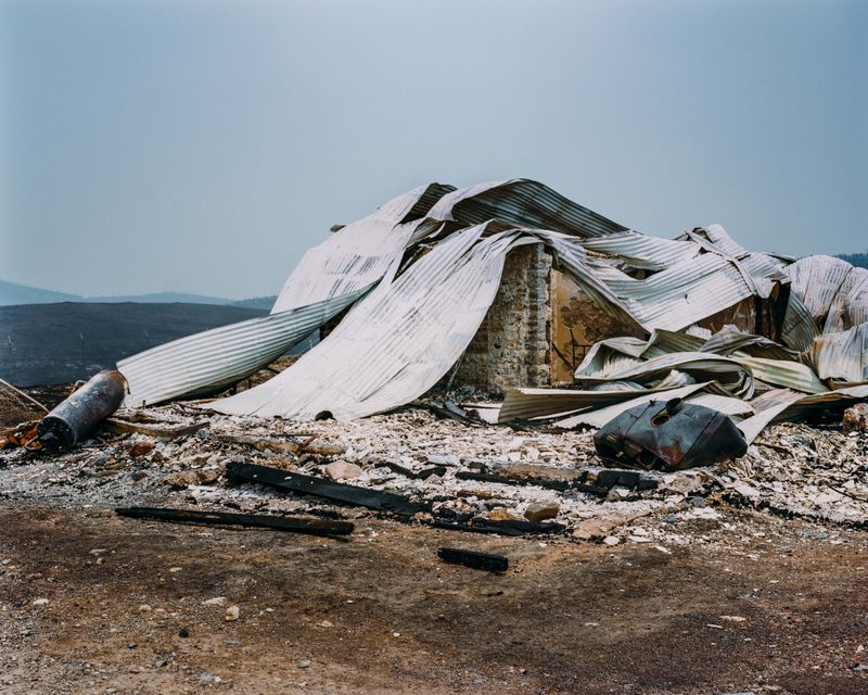 © Tom Goldner - Image from the Do Brumbies Dream in Red? photography project