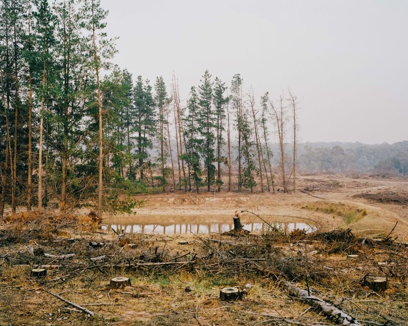 © Tom Goldner - Image from the Do Brumbies Dream in Red? photography project
