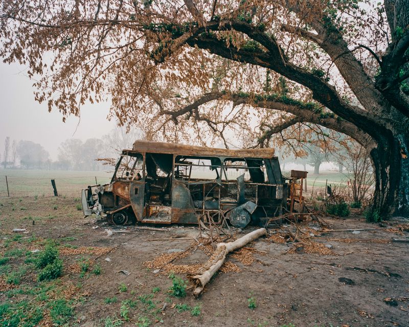 © Tom Goldner - Image from the Do Brumbies Dream in Red? photography project