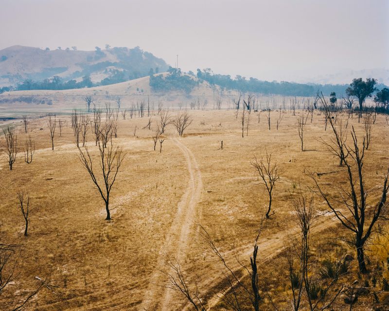 © Tom Goldner - Image from the Do Brumbies Dream in Red? photography project