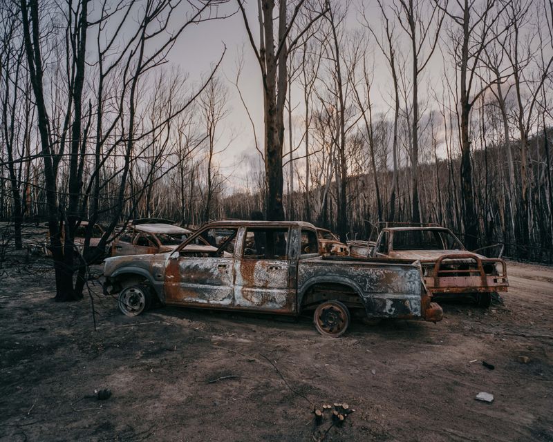 © Tom Goldner - Image from the Do Brumbies Dream in Red? photography project