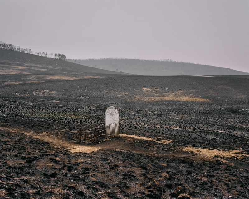 © Tom Goldner - Image from the Do Brumbies Dream in Red? photography project