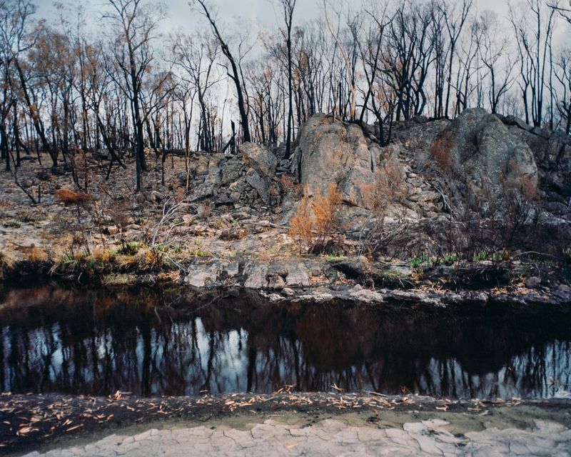 © Tom Goldner - Image from the Do Brumbies Dream in Red? photography project