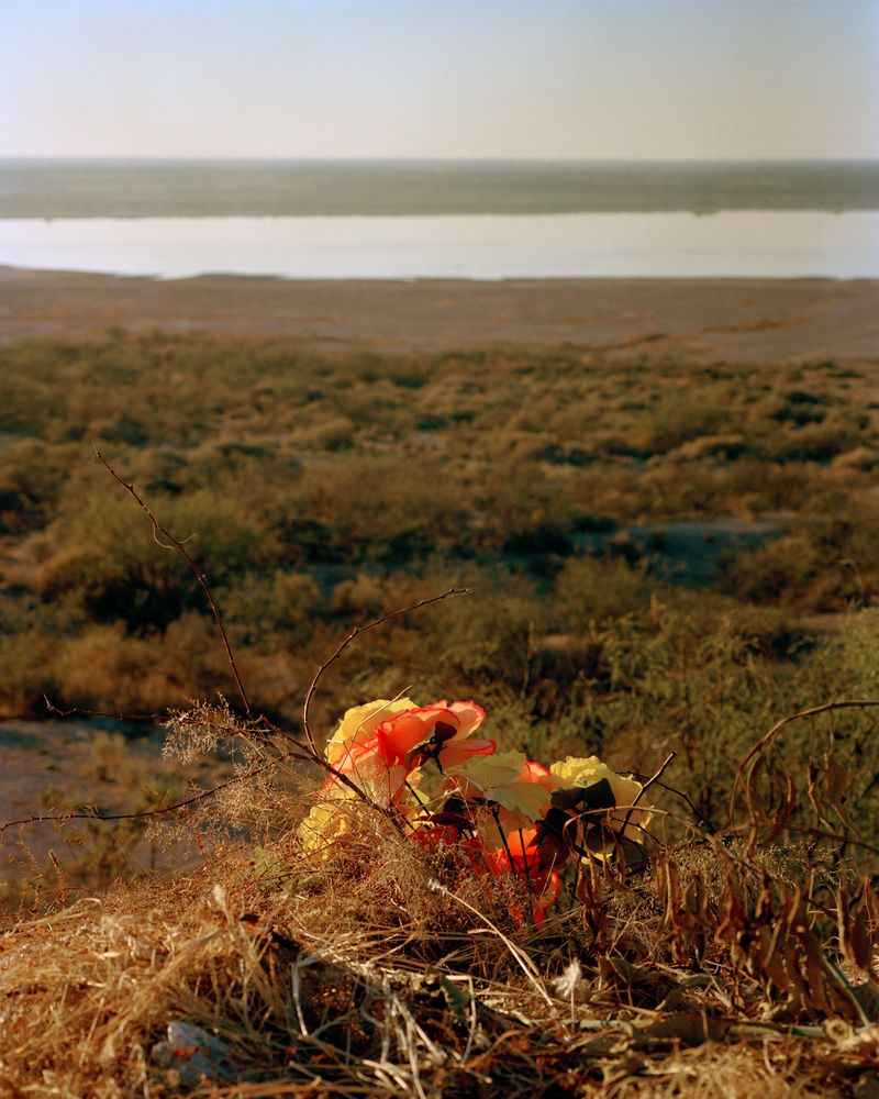 © Iris Haverkamp Begemann - Image from the I Went On A Holiday To The Country You Fled From photography project