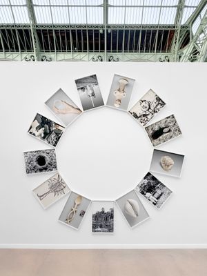 Fertility Ring