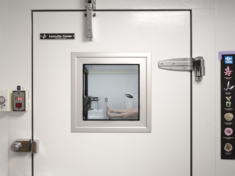 © jingyin che - Image from the Harmless: to be proven photography project