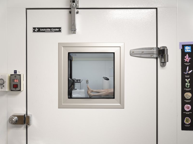 © jingyin che - Image from the Harmless: to be proven photography project