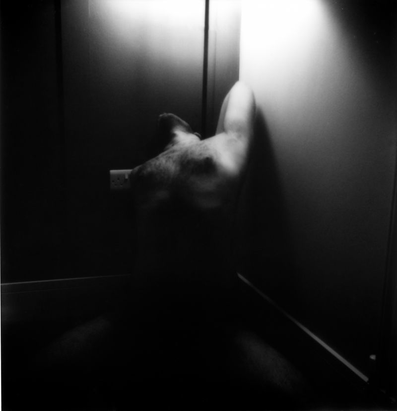 © Hamza Ashraf - 'the tightrope tightens, unraveling me with every question'. (2025)