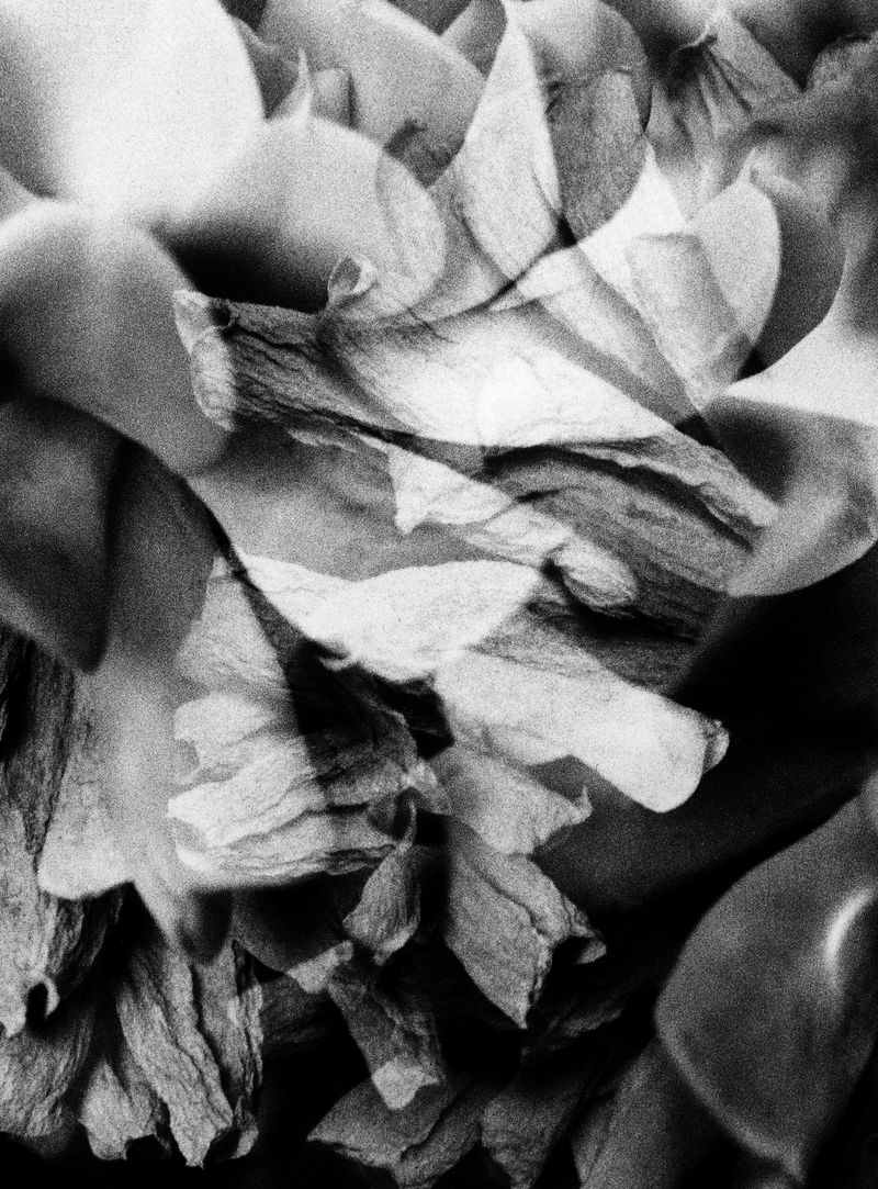 © Edward Nurton - Image from the I once saw a cloud dissolving photography project